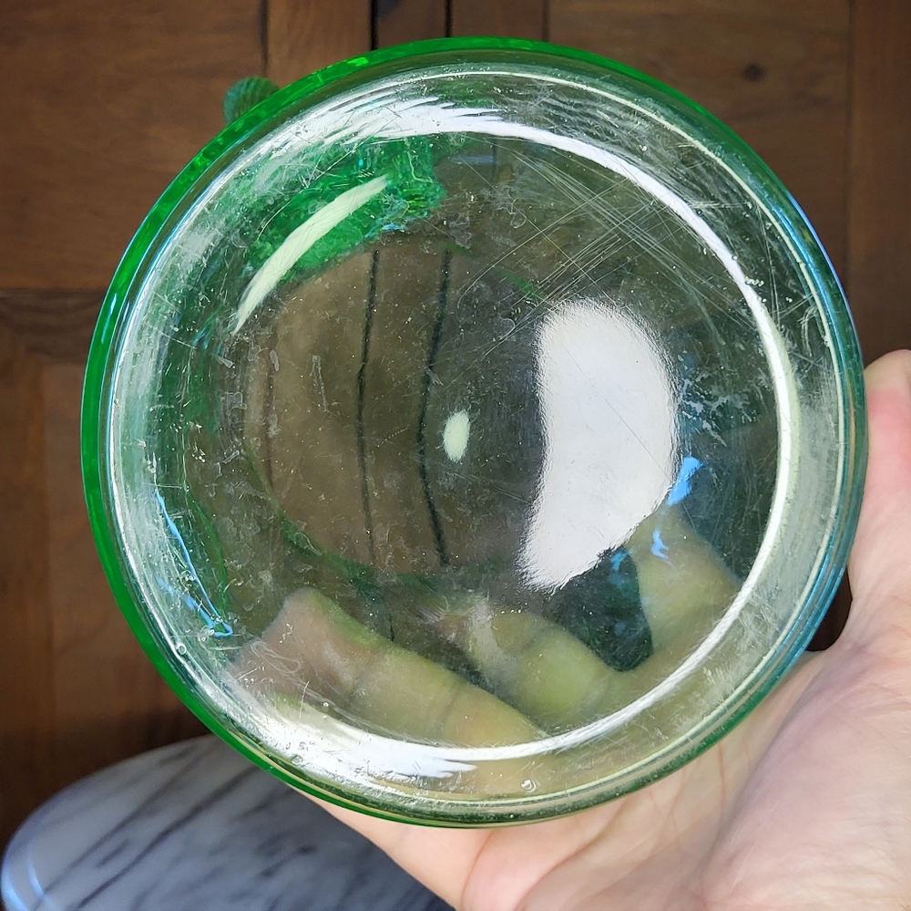 Vibrant Green Glass Pitcher - Picture 17 of 17